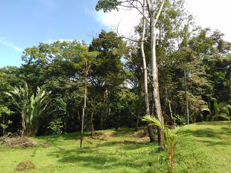 Land For Sale in Ojochal Costa Rica